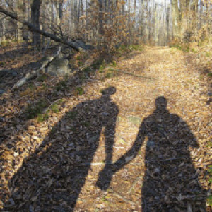 Couple Psychotherapy, Depression Therapy Families